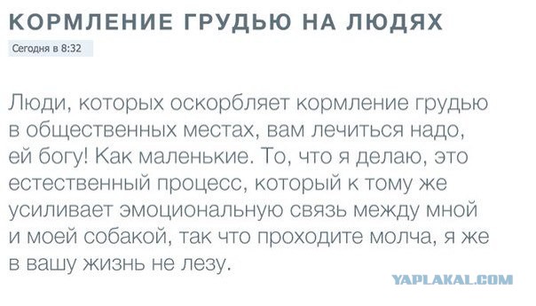 И в номинации "Мать года" побеждает...
