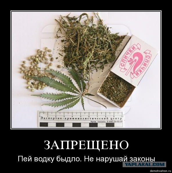Амстердам, в котором не хочется жить