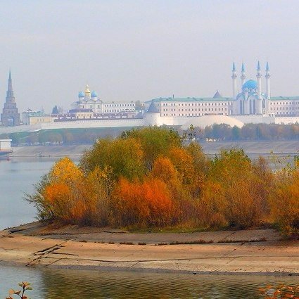 Порция картинок
