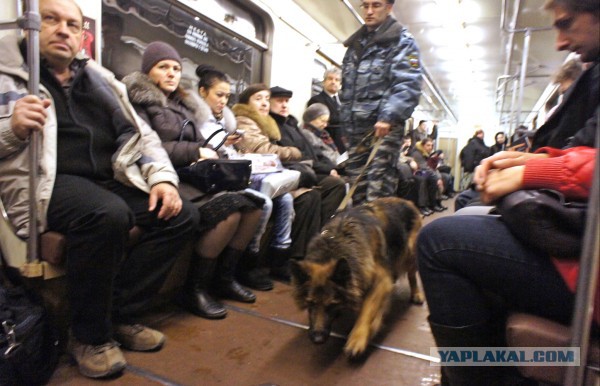 Палка и газовый баллончик не помогут