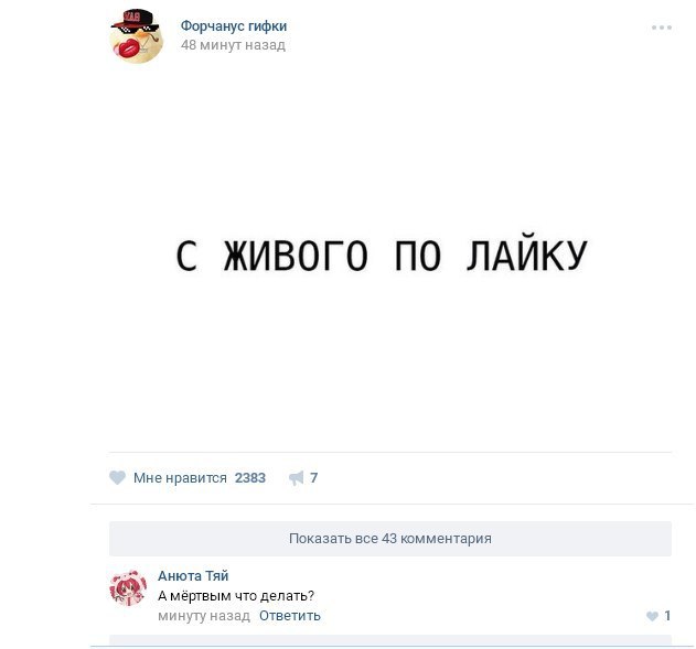 Ужасы и приколы из соцсетей 18+