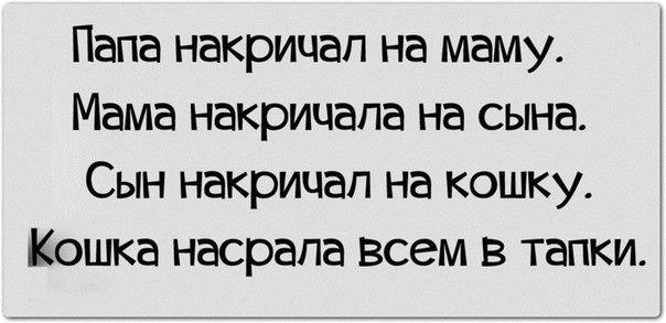 Забавные картинки вразнобой