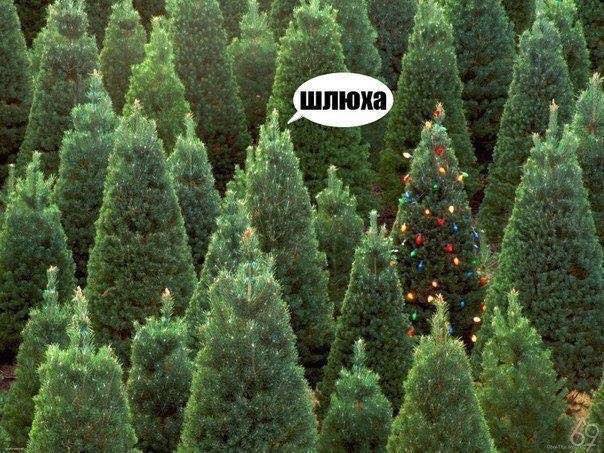 Юмор не для всех