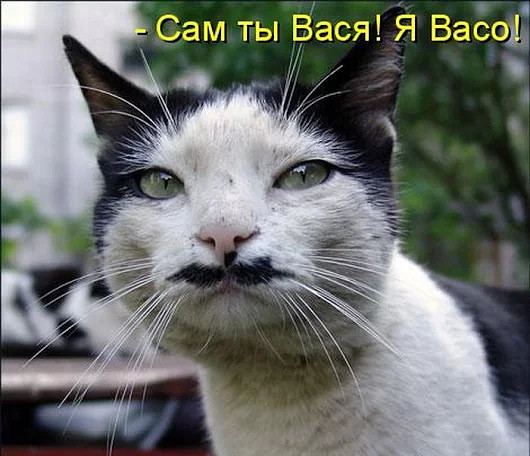Подборка интересных и веселых картинок