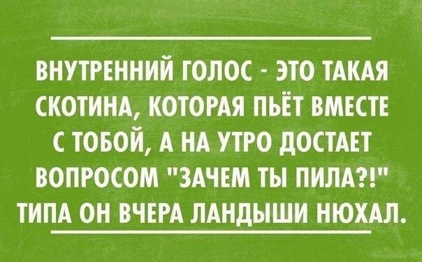 Прикольные картинки 30.06.2017.