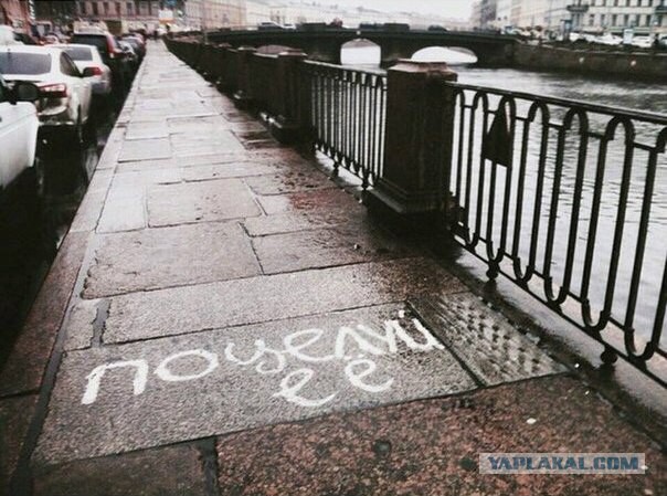 Питерские и околопитерские картинки