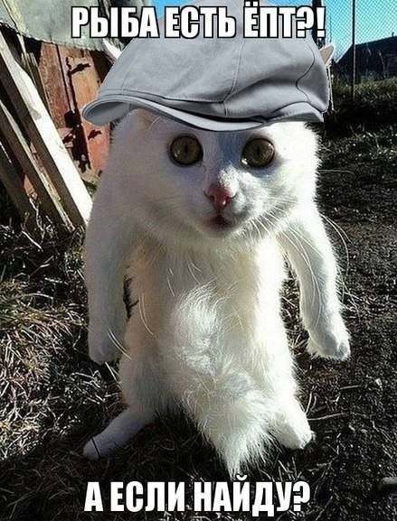 Бразильские гопники