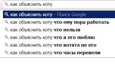 ДОКОЛЕ? Или как заставить кота приносить доход в семью