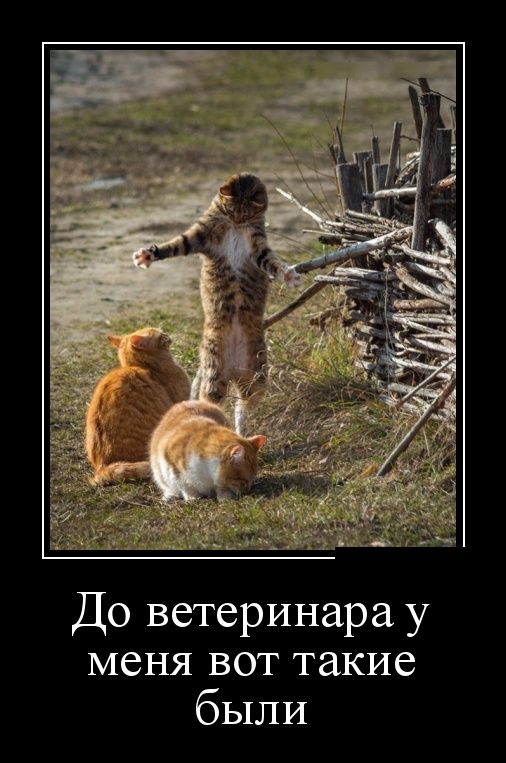 Вспомним былое. Прикольные баяны за 2017 год