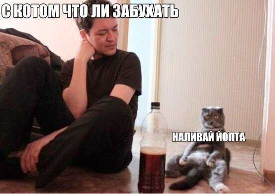 Нестандартный юмор