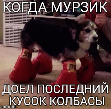 Нестандартный юмор