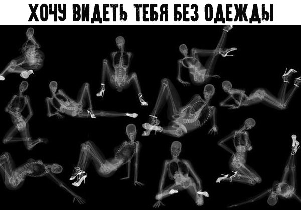 Бросай работать, пошли деградировать!