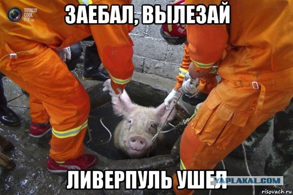 Беседка ФиС ЯПа 5