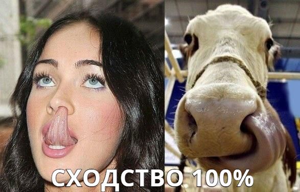 Прикольные картинки абавсём