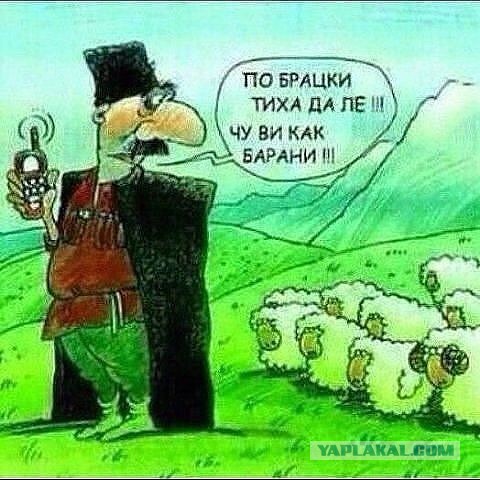 Привет из зоопарка