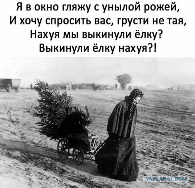 Фото, соц-сети и картинки с надписями
