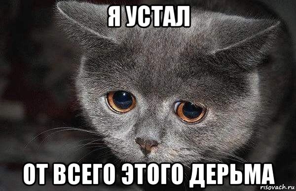 Яповчанки с праздником любви и весны