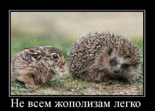 Немного картинок с надписями и без - 29
