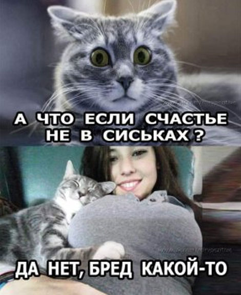 Немного картинок для настроения 16.01.20