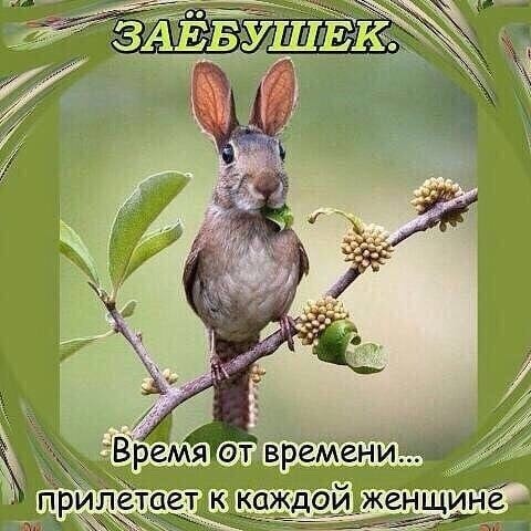 Итак, я женился на РСП