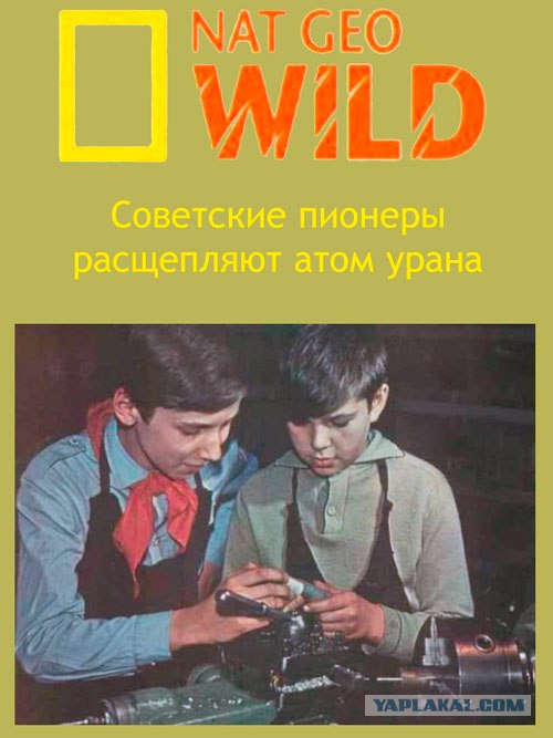 Фотожаба: Желтая пресса