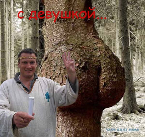 Древарх Вселенский Просветленный