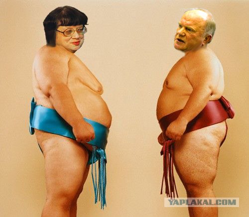 Фотожаба: Такое разное сумо...