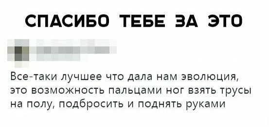 Фотки и картинки: юморные и красивые, забавные и милые 20.09.20