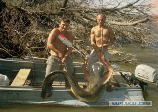 Жабим Улов