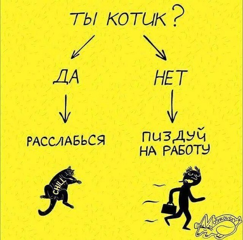 Юмор и прикольные картинки