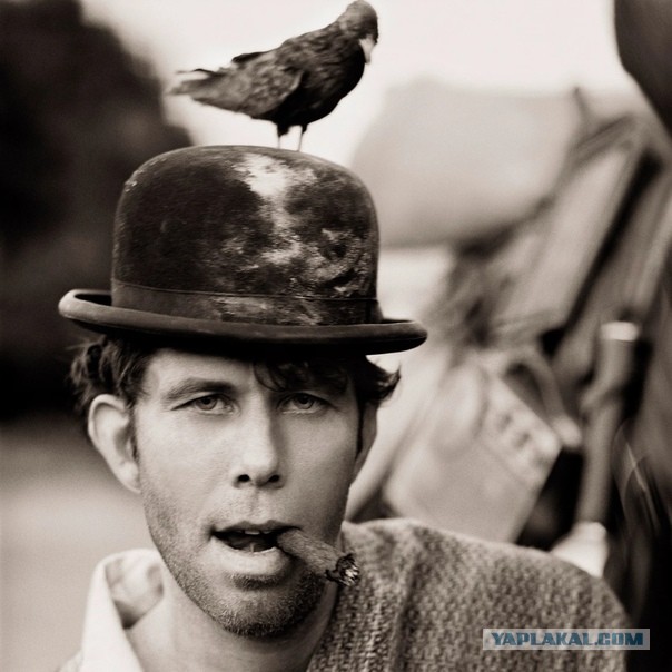 Такой разный Tom Waits