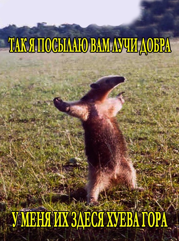 Разные картинки 01.02.2021