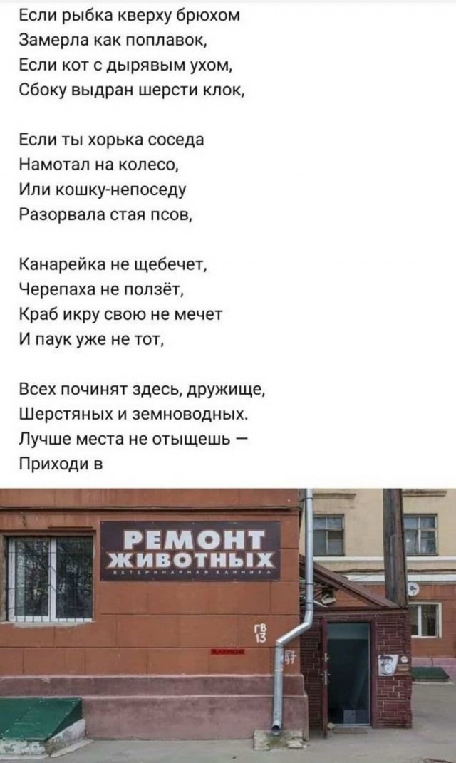 Картинки и мемы для настроения