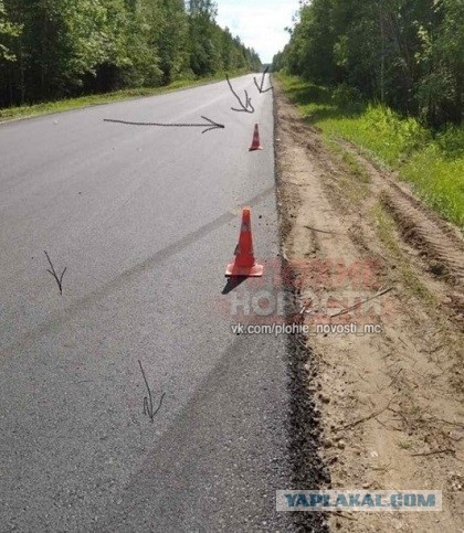 Таинственная смерть девушки в дебрях Нижегородской области: роковое фото за несколько минут до гибели