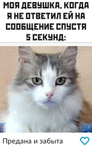 Картинки и мемы для настроения 26.08.2021