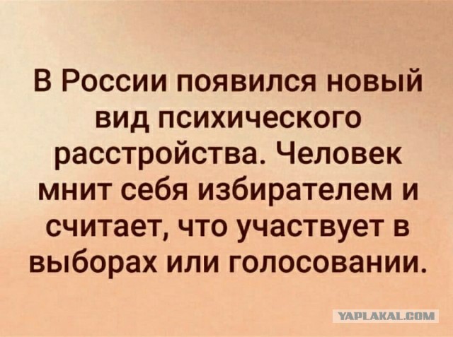 Сходил проголосовал, всё вроде нормально