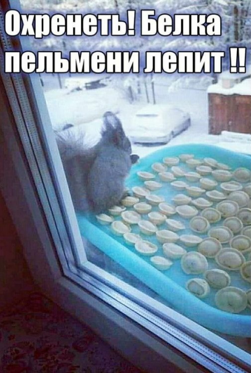 Картинки и мемы для настроения