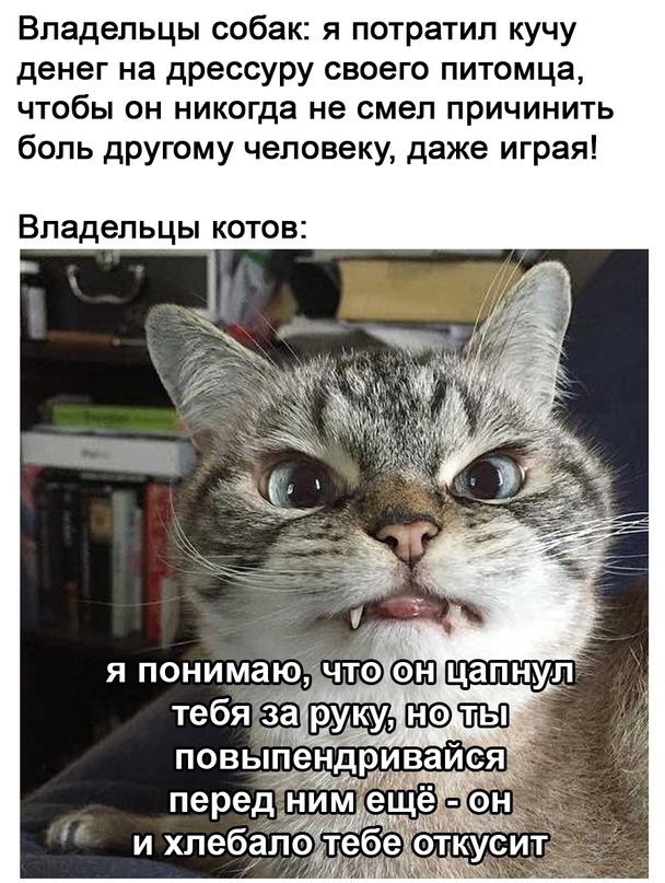 Картинки и мемы, всем прекрасных выходных