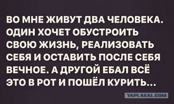 Так себе картинки 12.02.22