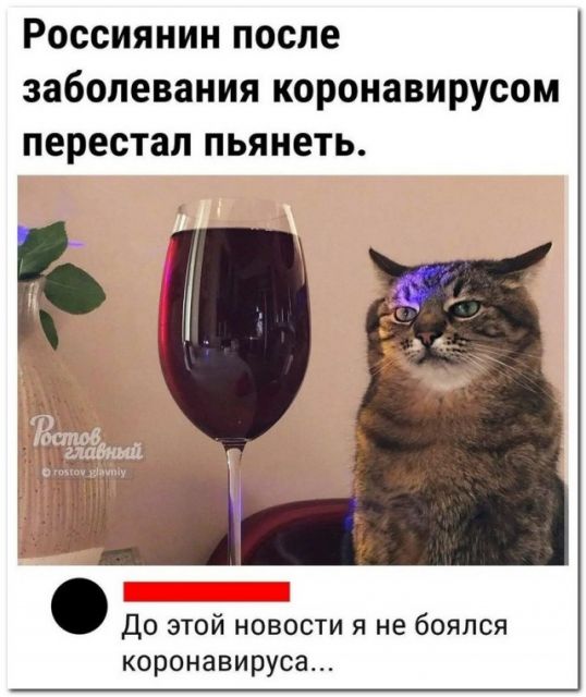 Картинки и буквы 15.07.22