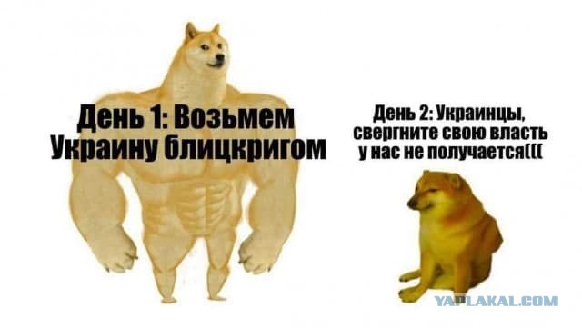 НАТО предоставит Украине системы ПВО и вооружение – Столтенберг