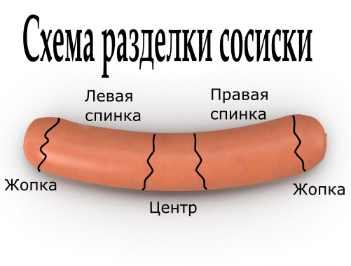 Как найти центр сосиски