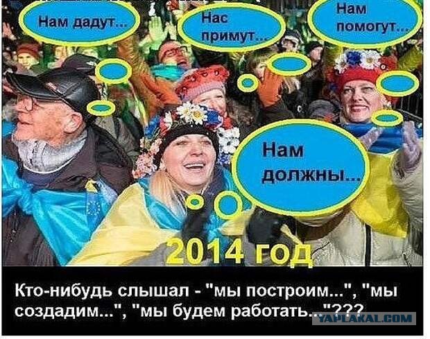 В Германии заявили о беспрецедентной провокации Киева против канцлера Шольца