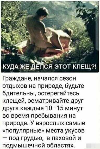 Забавные шутки, фразы, картинки из этих ваших интернетов