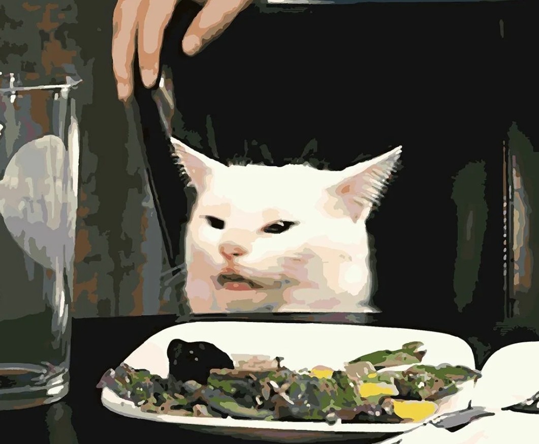 Кот за столом мем