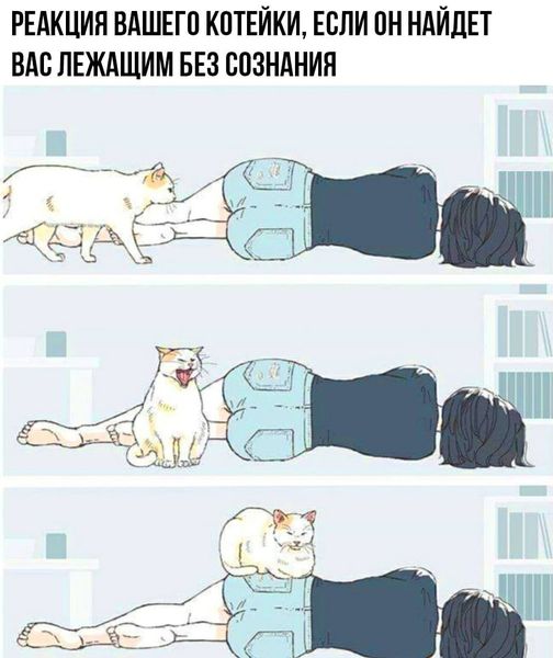 Так себе картинки 10.09.22