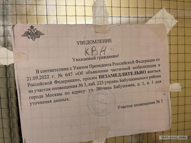 Повесили на дверь