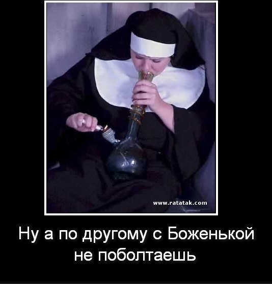 Немного позитива на утро 26.10.2022