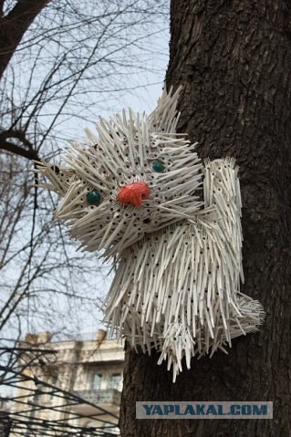 Чем уникален Киев. Рекорды и достижения