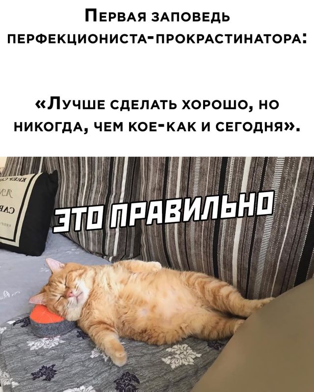 Картинки и мемы для настроения - 125